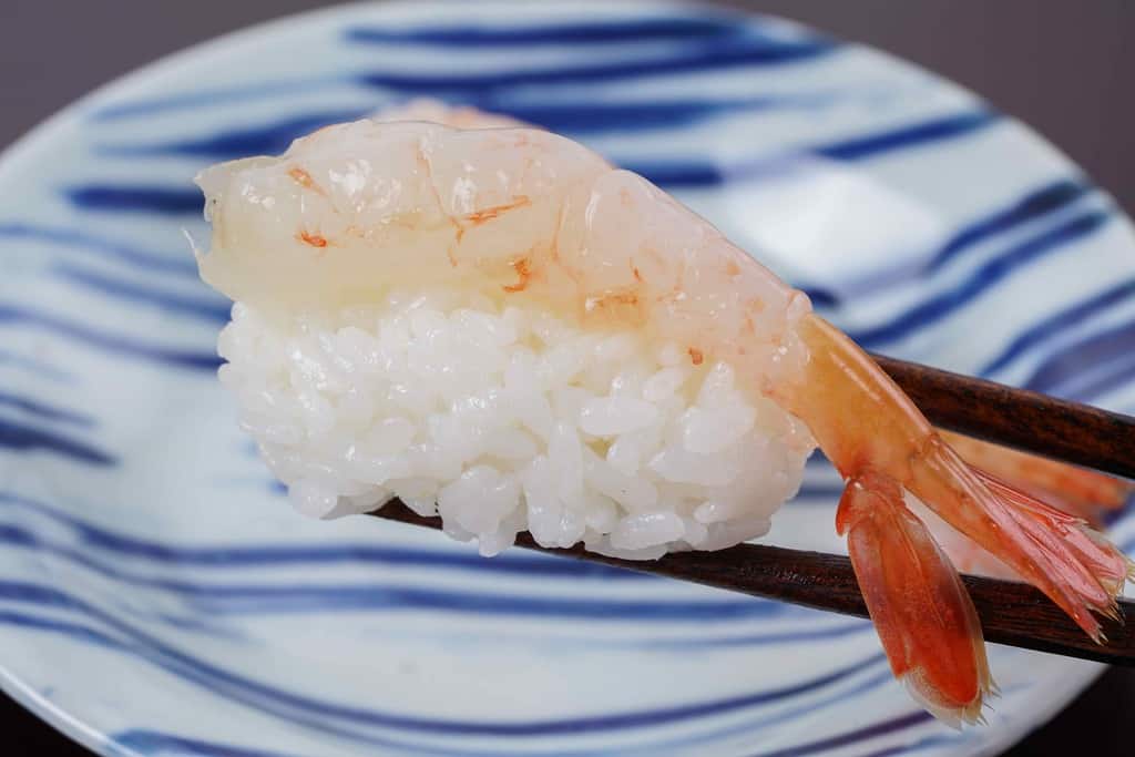 牡丹海老のにぎり寿司を箸でつまむ