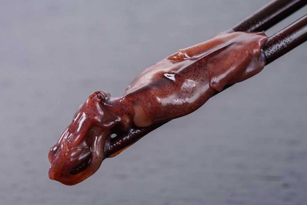 箸でつまんだホタルイカの沖漬け1尾、川村水産のほたるいか沖漬けを箸でつまむ