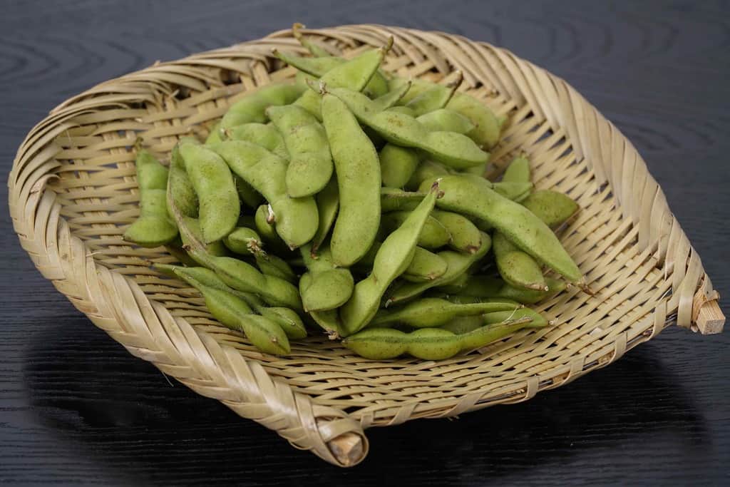 実食レポート】沖縄・宮古島市産の枝豆「おつな姫」をお取り寄せ | 食通きどり