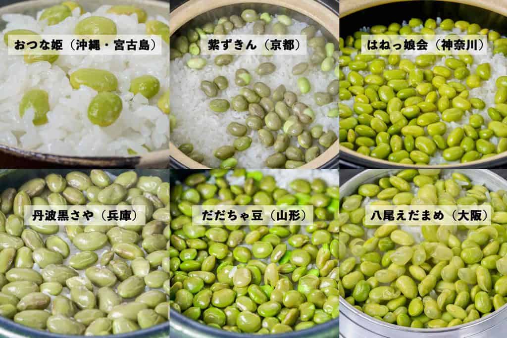 6種類の枝豆ご飯の比較画像、枝豆おつな姫・紫ずきん・はねっ娘会・丹波の黒さや・だだちゃ豆・八尾えだまめの御飯